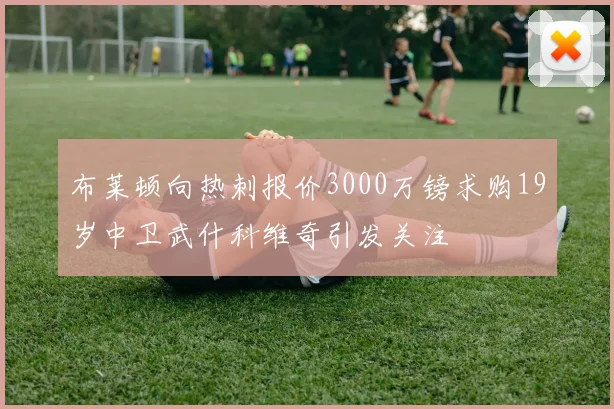 布莱顿向热刺报价3000万镑求购19岁中卫武什科维奇引发关注