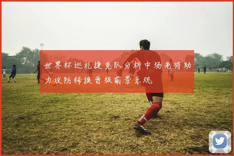 世界杯巡礼捷克队分析中场老将助力攻防转换晋级前景乐观